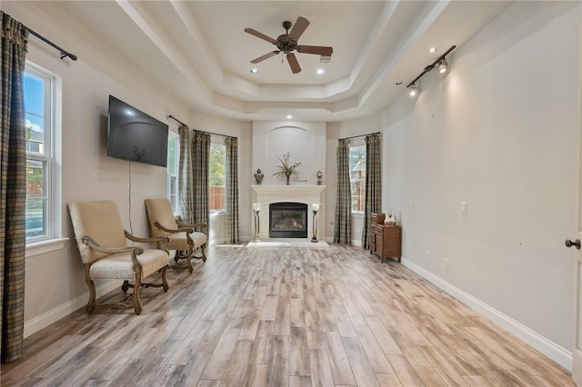 unfurnished room featuring light hardwood / wood-style floors, a raised ceiling, and a wealth of natural light