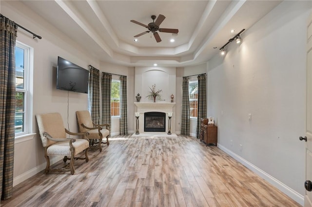 unfurnished room featuring light wood-type flooring, a tray ceiling, and ceiling fan