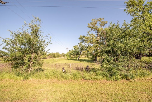 103 Leaning Oaks St, Somerville, TX 77879 - view of local wilderness