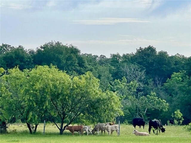 3523 Hunters Crossing Trl, Bryan, TX 77808 - photo 9