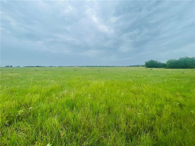 8409 S Hickory Loop, Calvert, TX 77837 - photo 13