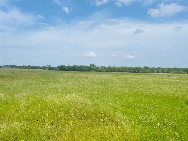 8409 S Hickory Loop, Calvert, TX 77837 - photo 4