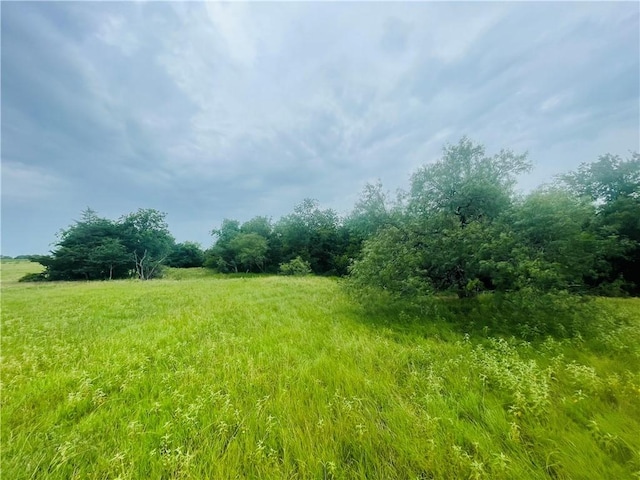 8409 S Hickory Loop, Calvert, TX 77837 - photo 14