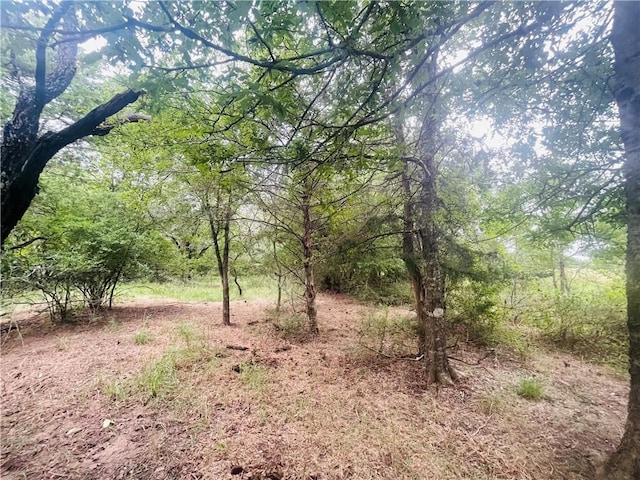 8409 S Hickory Loop, Calvert, TX 77837 - photo 15