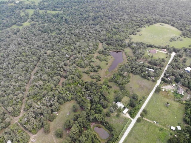 2601 County Road 429, Somerville, TX 77879 - photo 39