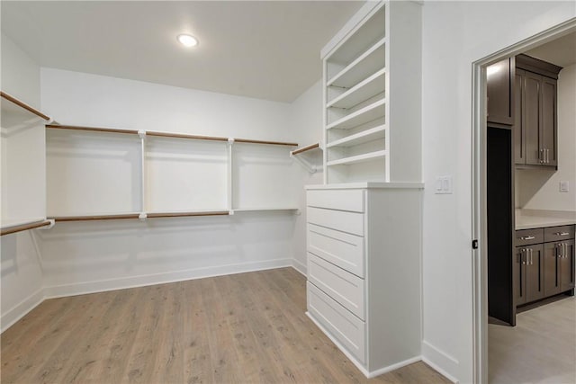 spacious closet featuring light hardwood / wood-style floors