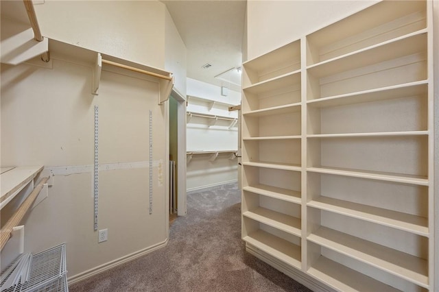 walk in closet featuring carpet