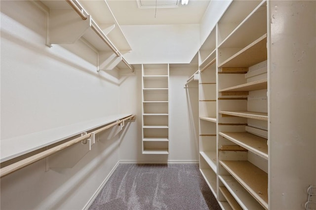 spacious closet with carpet floors and attic access