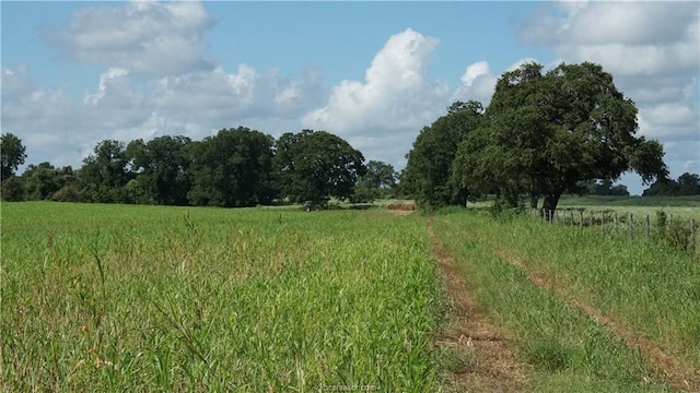 Listing photo 2 for TBD Cr 268, Snook TX 77878