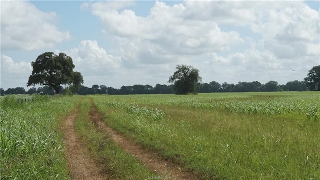 Listing photo 3 for TBD Cr 268, Snook TX 77878