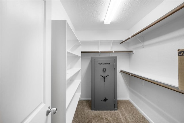 2099 Positano Loop, Bryan, TX 77808 - spacious closet featuring carpet flooring