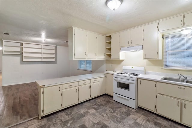 kitchen with a wealth of natural light, sink, white gas stove, and kitchen peninsula