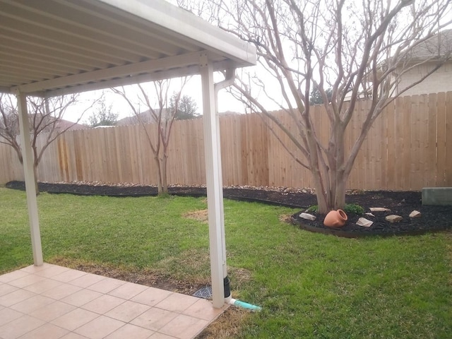 view of yard featuring a patio and a fenced backyard