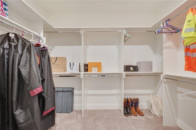 walk in closet featuring carpet flooring