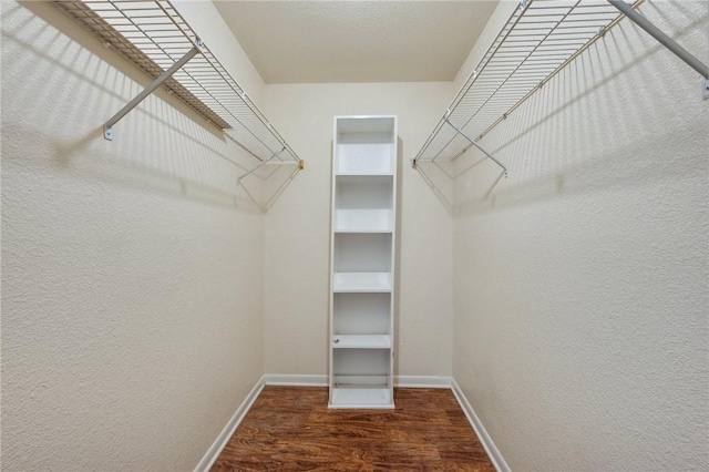 walk in closet featuring wood finished floors