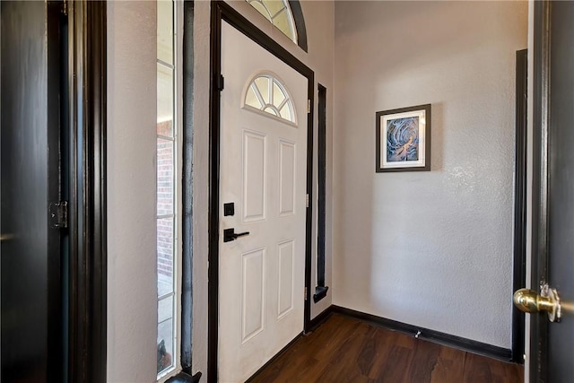 entrance foyer featuring dark wood-type flooring