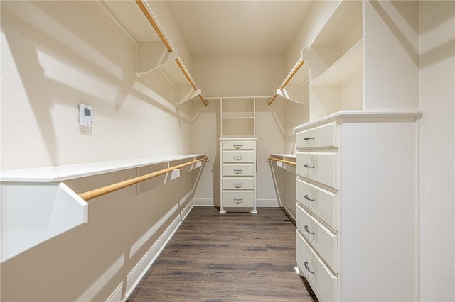 walk in closet featuring dark wood-style floors