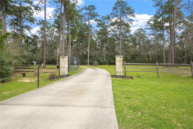 137 Port Au Prince Ct, Montgomery, TX 77316 - photo 2