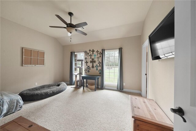 137 Port Au Prince Ct, Montgomery, TX 77316 - photo 7