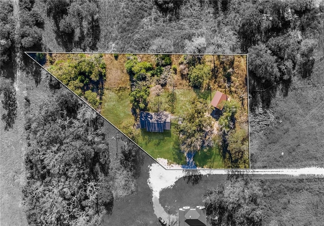 4482 Collton Ln, Franklin, TX 77856 - photo 17