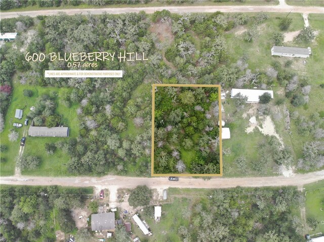 600 Blueberry Hill Rd, Somerville, TX 77879 - photo 1