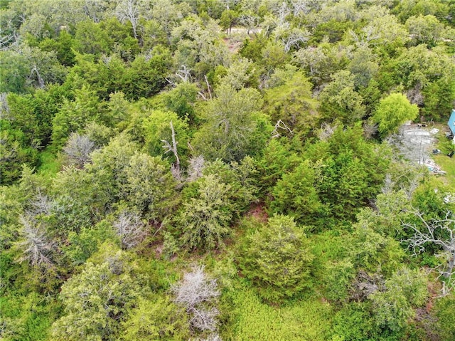 600 Blueberry Hill Rd, Somerville, TX 77879 - photo 6