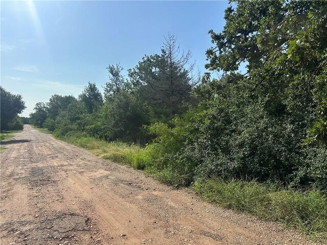 600 Blueberry Hill Rd, Somerville, TX 77879 - photo 3