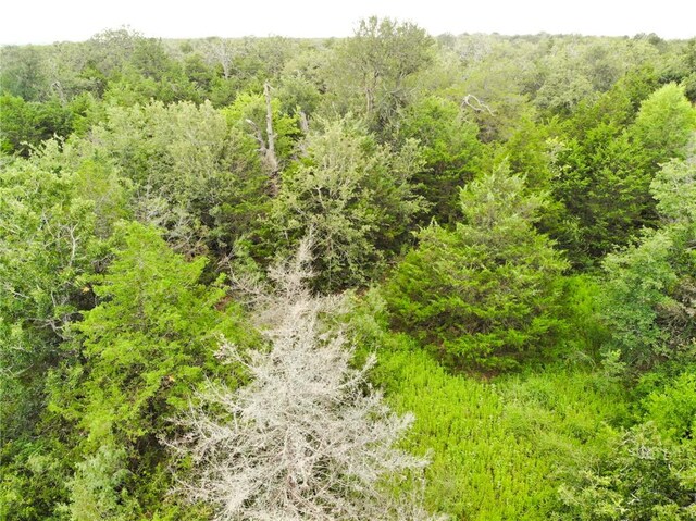600 Blueberry Hill Rd, Somerville, TX 77879 - photo 17