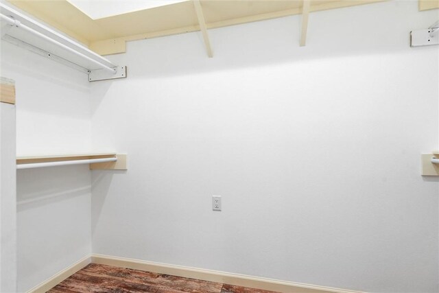 spacious closet featuring wood finished floors