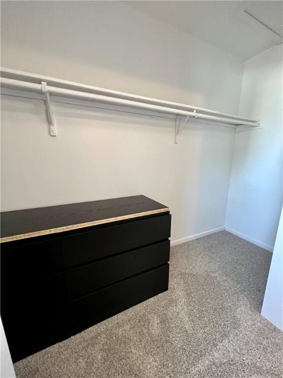 walk in closet featuring carpet