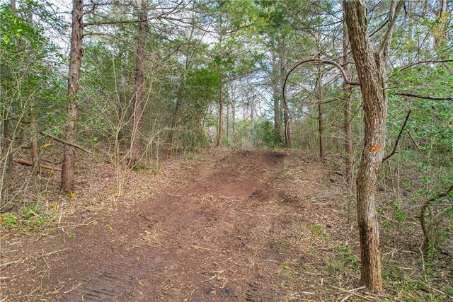 TBD Highway 36, Caldwell, TX 77838