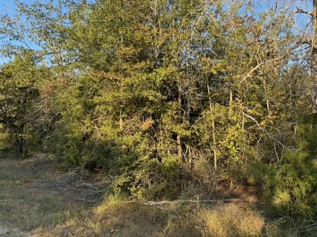 3387 Beaver Creek Rd, Caldwell TX, 77836 land for sale