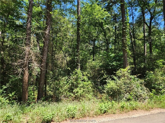 LOT74 Pinebrook Dr, Plantersville TX, 77363 land for sale