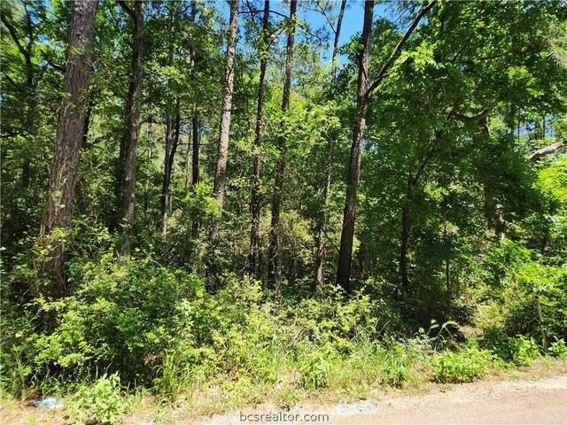 Listing photo 3 for LOT74 Pinebrook Dr, Plantersville TX 77363