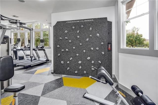 exercise area with plenty of natural light and carpet floors