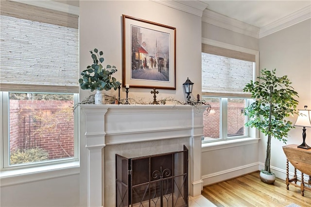 details with hardwood / wood-style flooring, ornamental molding, and a fireplace