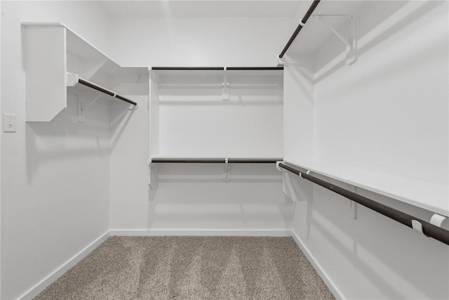 spacious closet with carpet flooring