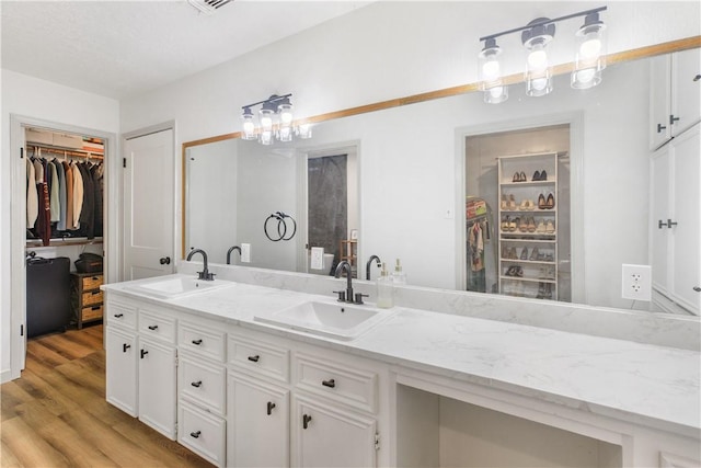 bathroom with wood finished floors, a walk in closet, and a sink