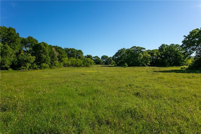 Listing photo 3 for LOT10 Brazos Ct, Caldwell TX 77836