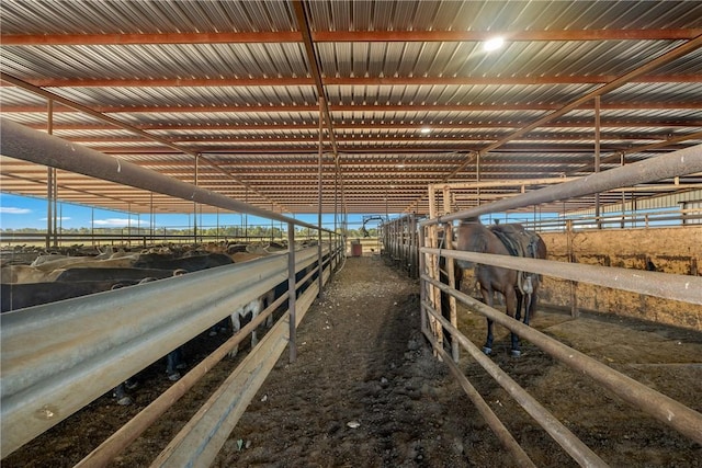 8761 Fm 339, Kosse, TX 76653 - photo 15