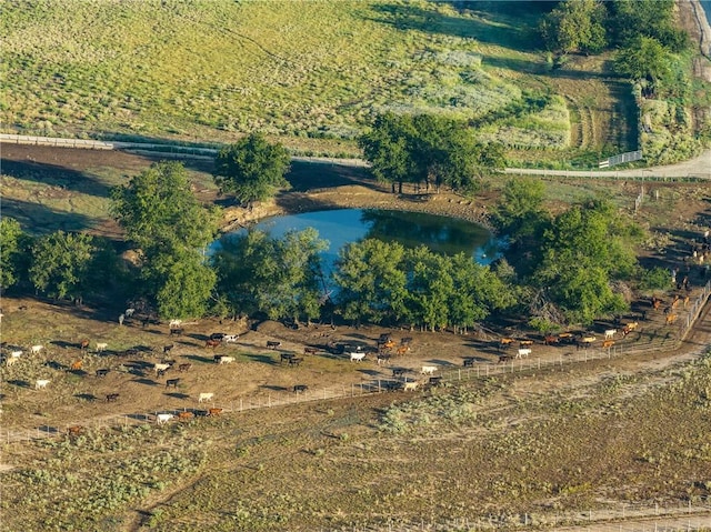 8761 Fm 339, Kosse, TX 76653 - photo 20