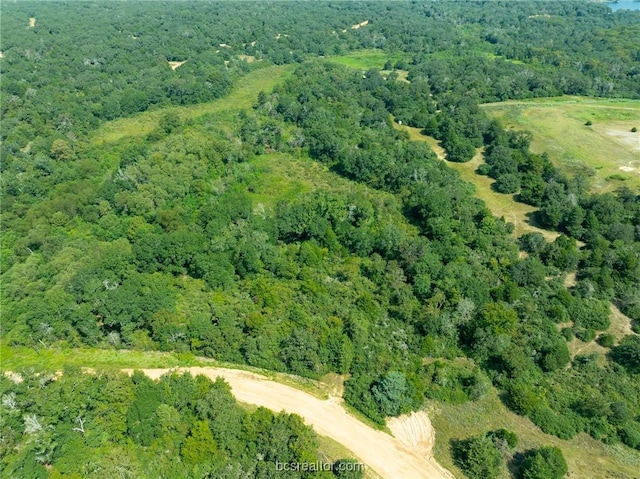 Listing photo 3 for LOT4 Ranch Road Dr, Hilltop Lakes TX 77871