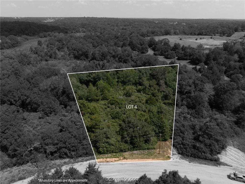 LOT4 Ranch Road Dr, Hilltop Lakes, TX 77871