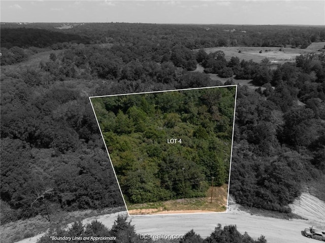 LOT4 Ranch Road Dr, Hilltop Lakes, TX 77871