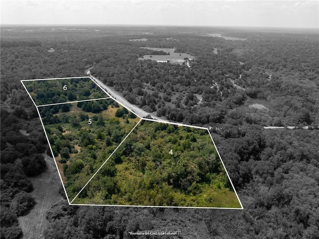 Listing photo 2 for LOT4 Ranch Road Dr, Hilltop Lakes TX 77871