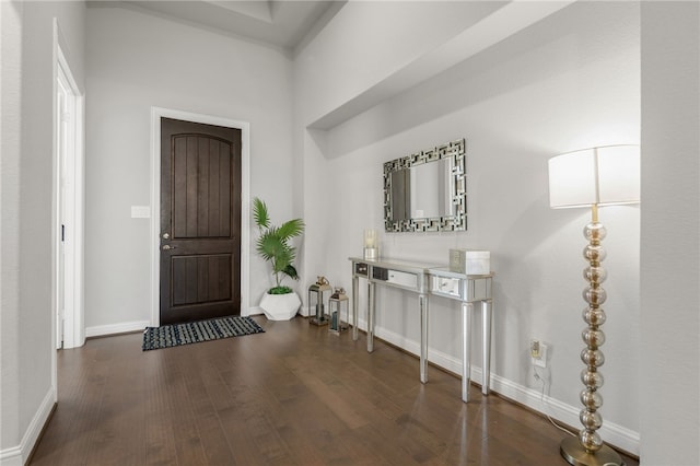 foyer entrance featuring dark hardwood / wood-style flooring