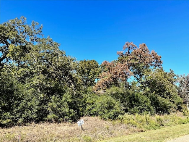 9570 Edinburg Trl, Iola TX, 77861 land for sale