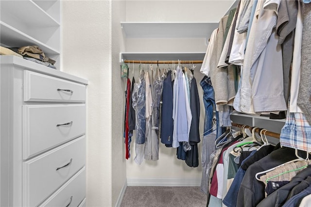 4507 Tonbridge Dr, College Station, TX 77845 - walk in closet featuring carpet floors