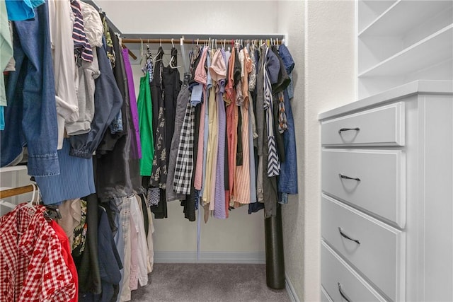 4507 Tonbridge Dr, College Station, TX 77845 - walk in closet with carpet floors