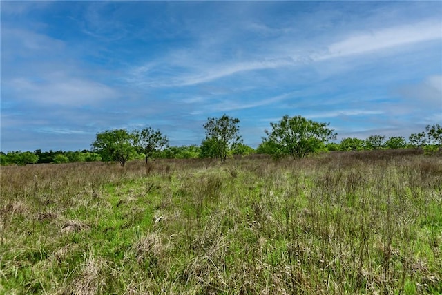 view of nature with a rural view